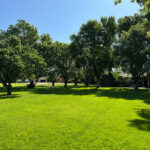 Img 0496