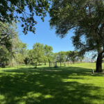 Img 0507